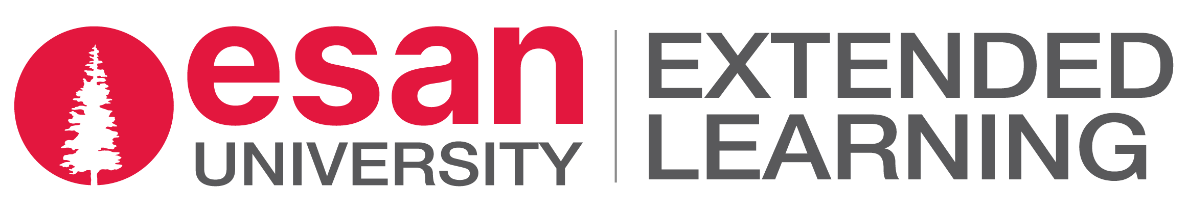 ESAN Logo